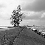 Gormley Exposure_foto Johannes Schwartz 3.jpg